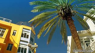 Big cocked married man fucks hot tranny... Sgt Miles and Natalie Mars in Transsensual?