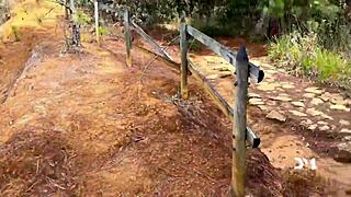 latin couple fucks in forest