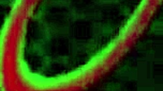 Riley Jacob's wet pussy gets pounded by Rome Major's big cock!