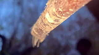 Intense Sex with Real Witch in Forest Setting