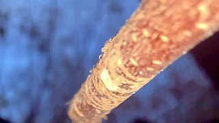 Intense Sex with Real Witch in Forest Setting