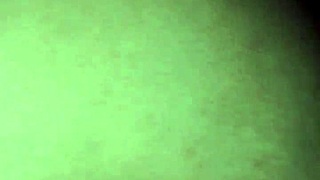 getting a blowjob from a fat friend in a hotel