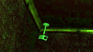 getting some at the triangle club