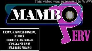 slim japanese-brazilian honey fucked by 4 huge cocks, ass to mouth and anal gapes?