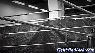 Eurobabe wrestles lesbian beauty