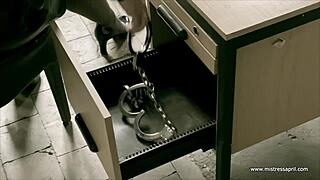 dominatrix mistress april treats ms kittens private patient