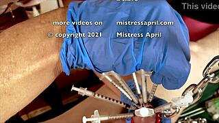 dominatrix mistress april treats ms kittens private patient