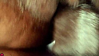 Swollen Pussy Pounded and Drilled Simultaneously by BBC in Dorm Room.