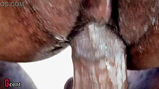 Swollen Pussy Pounded and Drilled Simultaneously by BBC in Dorm Room.