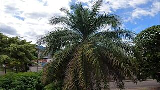 haven't seen stepsister long, squeezed her white booty, she changed comfortable.