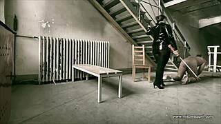 dominatrix mistress april treats ms kittens private patient