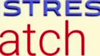 dominatrix mistress april treats ms kittens private patient