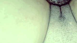 I gave it deliciously to my half-brother and he left me all cummed in exhibitionist latina goth lingerie flashing