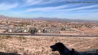 i'm giving a blowjob in this outdoor cave, feeling so exposed and excited with my big cock