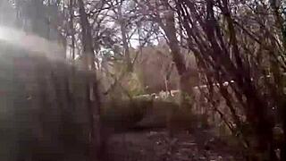 Reymisterio422's Favorite Spot In The Forest