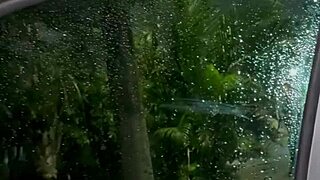 I foun' Belinha watchin' the live stream, it was excitin'