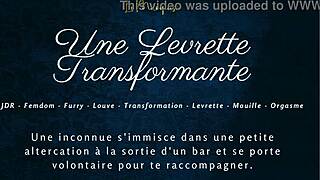 a french furry transforms during doggy style