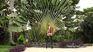 Shemale beauty gangbanged hard