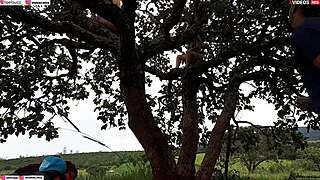 Did you see me fuck the blonde and brunette on the tree in the street?