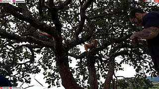 Did you see me fuck the blonde and brunette on the tree in the street?