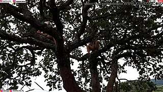 Did you see me fuck the blonde and brunette on the tree in the street?