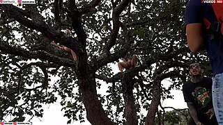 Did you see me fuck the blonde and brunette on the tree in the street?