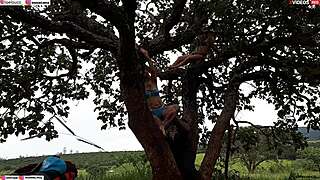 Did you see me fuck the blonde and brunette on the tree in the street?