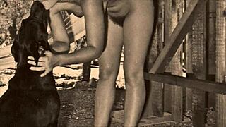 dark lantern entertainment presents from my secret life the erotic confessions of a victorian english gentleman 😏