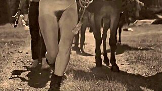 dark lantern entertainment presents from my secret life the erotic confessions of a victorian english gentleman 😏