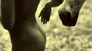 dark lantern entertainment presents from my secret life the erotic confessions of a victorian english gentleman 😏