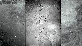 dark lantern entertainment presents from my secret life the erotic confessions of a victorian english gentleman 😏