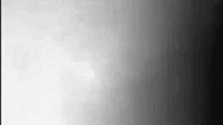 Is The Beloved Wife Cheating?