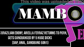 Exotic brazilian ebony ariella ferraz returns to the industry after a break