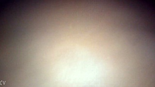 Amateur homemade couple performs reverse cowgirl with interracial blowjob and intense riding