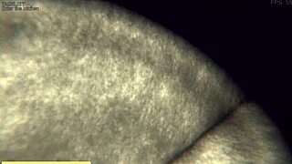 Night Shift with Big Tits and Monster Cock