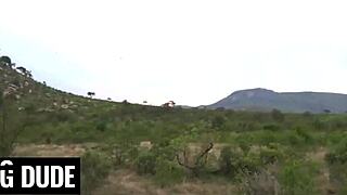 ebony tinder hottie gives big cock the best blowjob on their first date!