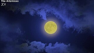 a wolf in sheeps pussy