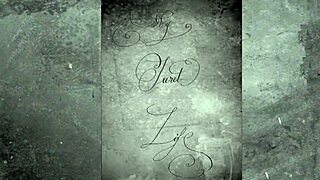 dark lantern entertainment presents beauty and the beast