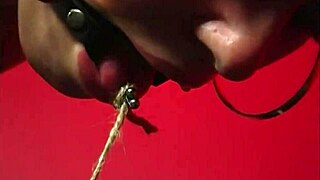 Newbie bondage slut Kaera Cruz dominated by Maxine X!