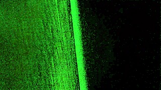 latina onlyfans mom does anal sex