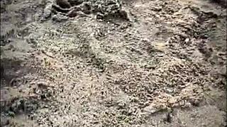 public beach blowjob from stranger 😍