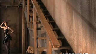 Want to learn how to suck dick until you squirt?