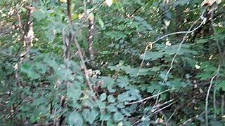 three girlfriends in swimsuits and jeans masturbate outdoors, oh gosh