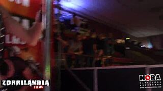 Who wants two cocks for Kandy?