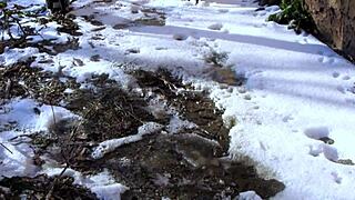 Milf pisses behind garages in open air! Dirty pussy loves public urination!