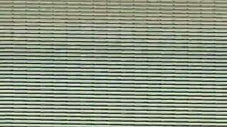 amateur video from july 18, 2016 at 10:42:23