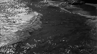 vintage erotic art collection