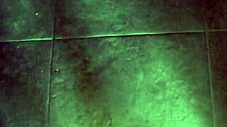 Hey, this perverted American tourist picked up a hairy French street prostitute 😏