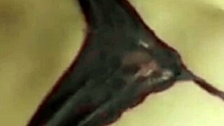 i freed my tight ass for an unknown internet guy after his pix gift