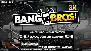 the big bang bus fan enjoys riding adventures on the bus with group scenes